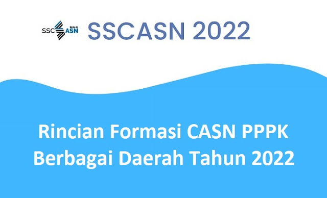 Rincian Formasi CASN PPPK 2022