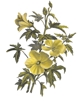 green flower image digital clipart download floral art crafting
