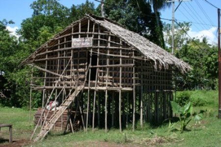 Arsitektur: Rumah Tradisional Kaki Seribu - suku Arfak 