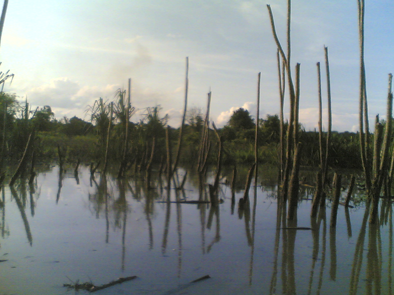 Ubat Kutu Ikan - Berubat g