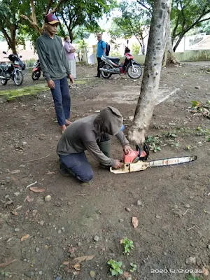 jasa cleaning service madiun memotong kayu