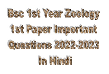 Bsc 1st Year Zoology 1st Paper Important Question