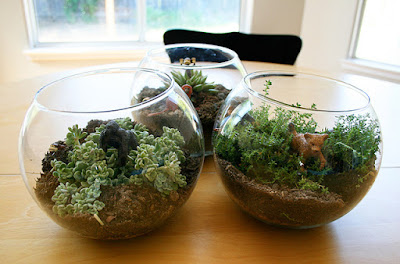 diy terrarium kid friendly animals tutorial