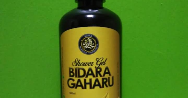 HIKMAH SEJATI: Bidara Gaharu