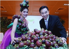  ประโยชน์ของมังคุด