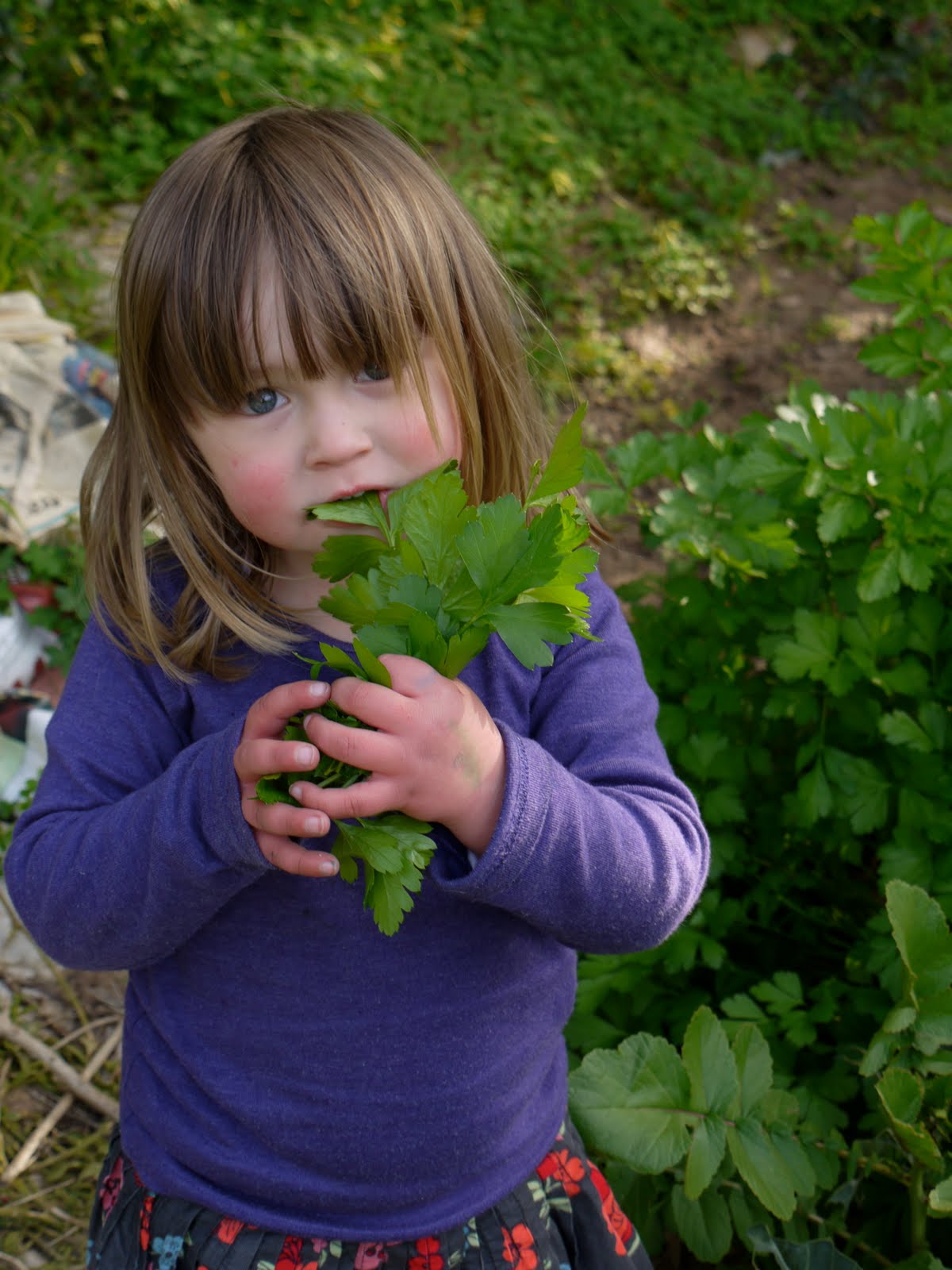 montessori practical life gardening