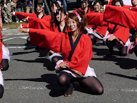 京小町、京女大