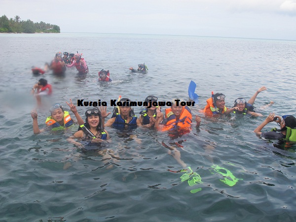 snorkeling di karimunjawa