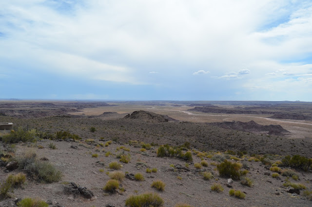 Petrified Forest National Park, Arizona - Painted Desert