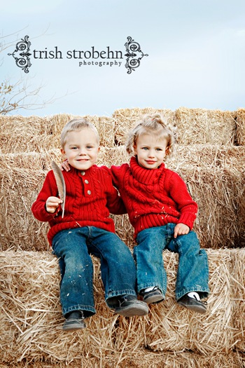 Whitaker Family 346C2L