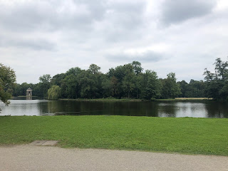 Un inmenso lago y al fondo un bosque. Todo verde intenso.