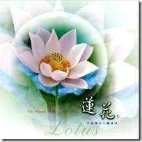 The Fragrant Pharmacy Spirit Music V - Lotus