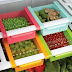 Plastic Refrigerator Storage Rack Set, Set of 4, Multicolour
