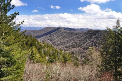 North Carolina from Newfound Gap