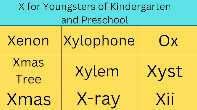  Words That Beginning With X for Youngsters of Kindergarten and Preschool