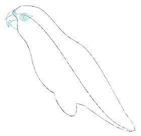 Parrot-EyesBeak-Step-2