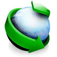 Internet Download Manager