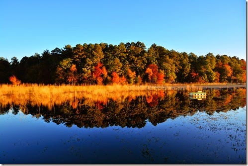 White Oak Lake Sunrise