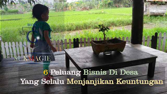 Bisnis Di Desa