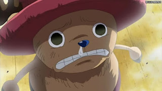 ワンピース アニメ 312話 チョッパー Tony Tony Chopper | ONE PIECE Episode 312