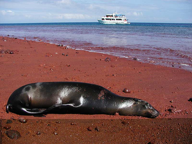 Galápagos Ecuador