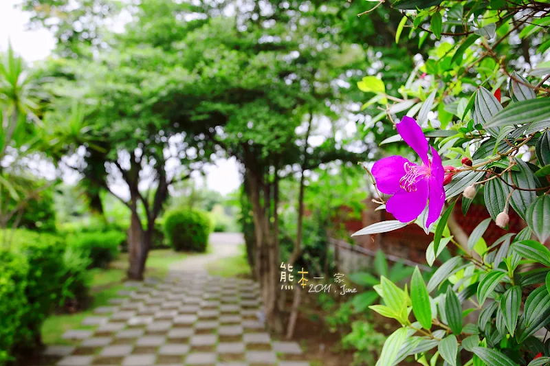 桃園景觀餐廳｜茶米花田義式莊園~近埤塘休閒運動公園