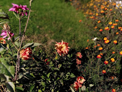 Khirsu in Uttarakhand