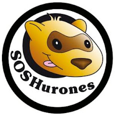¿Quieres adoptar un hurón?