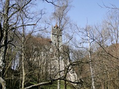 DSC01310