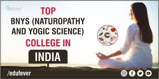 Narayana BNYS College,