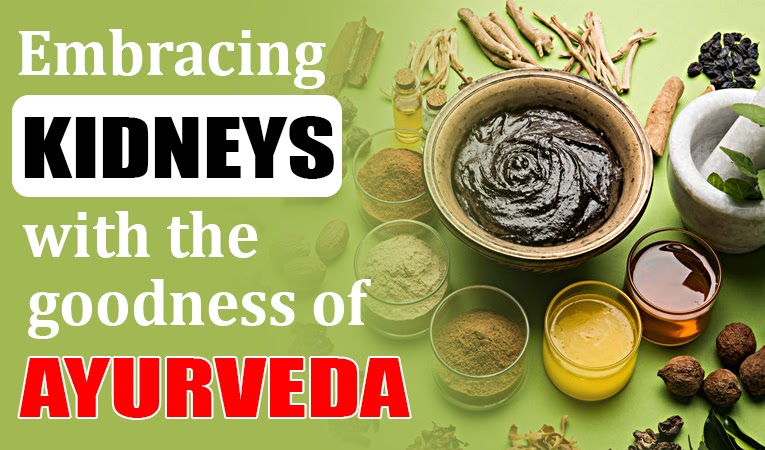 Embracing kidneys with the goodness of Ayurveda