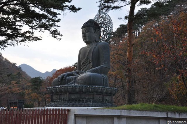 Evening at the Seoraksan National Park-Unification Buddha