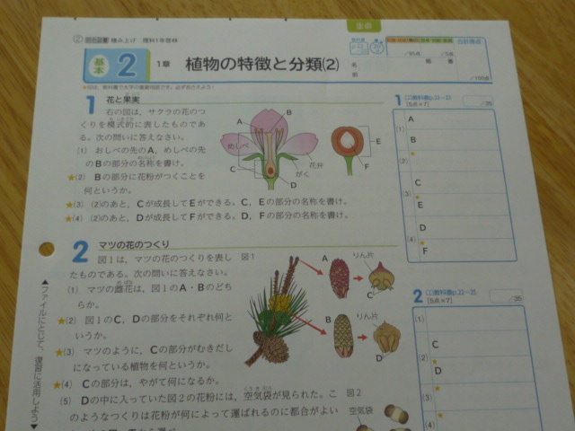 滝紅中 校長日記 1年技理数音英国