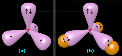 NH3 molecule has a pyramidal shape due to the pushing by lone pair of electrons. The nitrogen atom in ammonia is sp3 hybridized