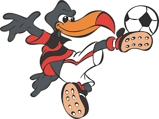 Vetor Mascote Flamengo Corel draw .CDR gratis