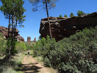 Conglomerados. Valle de los Milagros