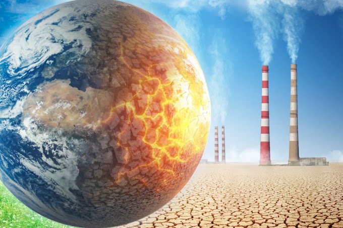 Top 8 solutions to reduce Global Warming !