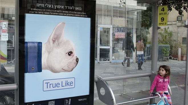 JCDecaux Animal Adoption