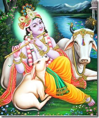 [Krishna with cows]