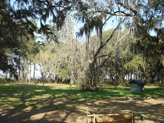 Santee Reserve scenery