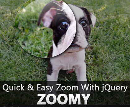 Membuat Efek Image Zoom dengan Jquery