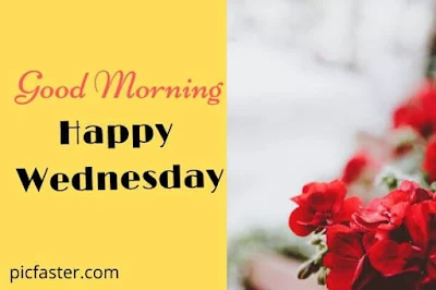 New - Good Morning Happy Wednesday Images With Quotes [2020]