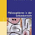 Herunterladen Philosophieren in der Sekundarstufe: Methoden und Medien (Beltz Praxis, 1) Bücher