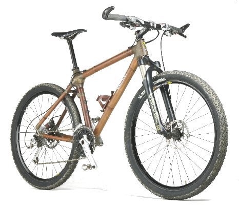 Bamboo Bike1