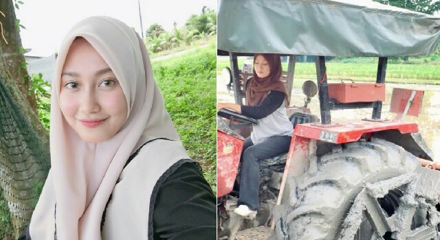 Wanita Cantik Bajak Sawah Pakai Traktor