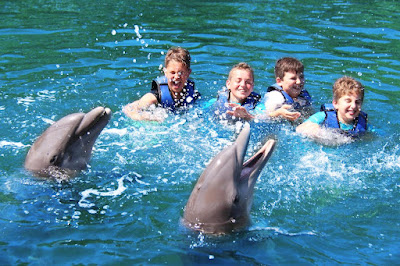 La increíble experiencia de Nado con delfines en Cancún