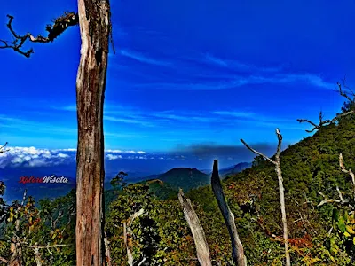 Porter Gunung Wilis - Paket Wisata Pendakian Gunung Wilis