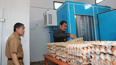 Bupati Bungo buka Bazar pangan murah Dinas ketahanan pangan 