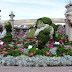 Scenic shots of flowers Design Festival