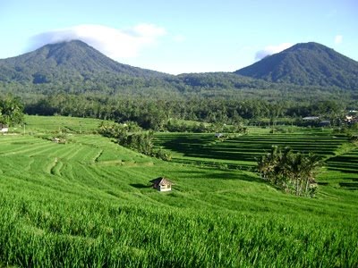  GAMBAR  PEMANDANGAN  SAWAH DAN PEGUNUNGAN  TERINDAH 